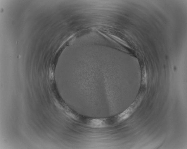 X0000084050176200703022224