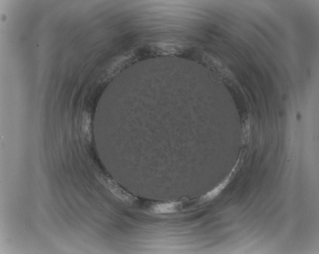 X0000084050178200703022224