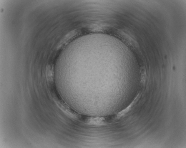 X0000084050179200703022224