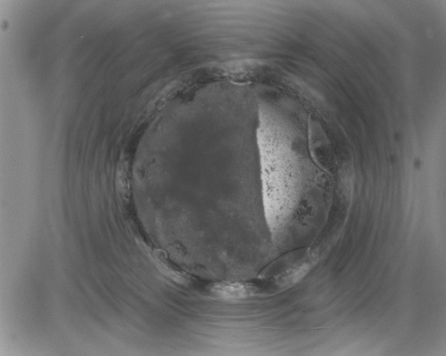 X0000084050181200703022224