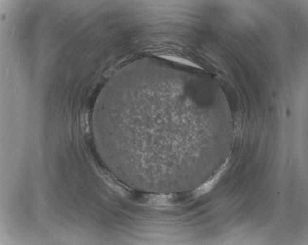 X0000084050182200703022224