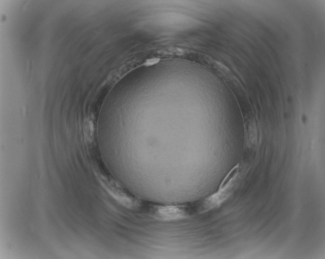 X0000084050183200703022224