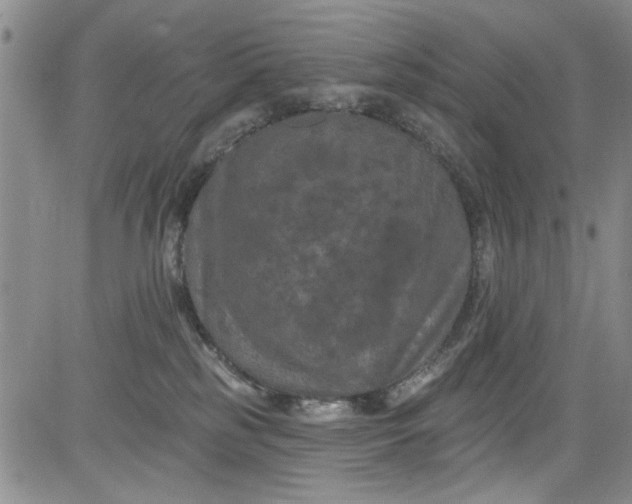 X0000084050185200703022224