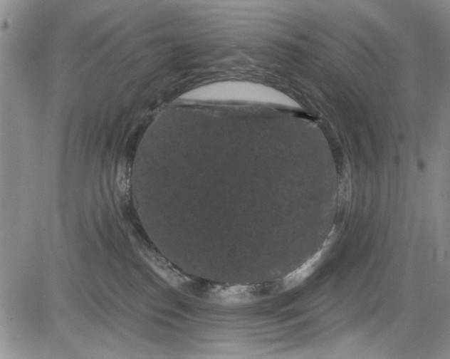 X0000084050186200703022224