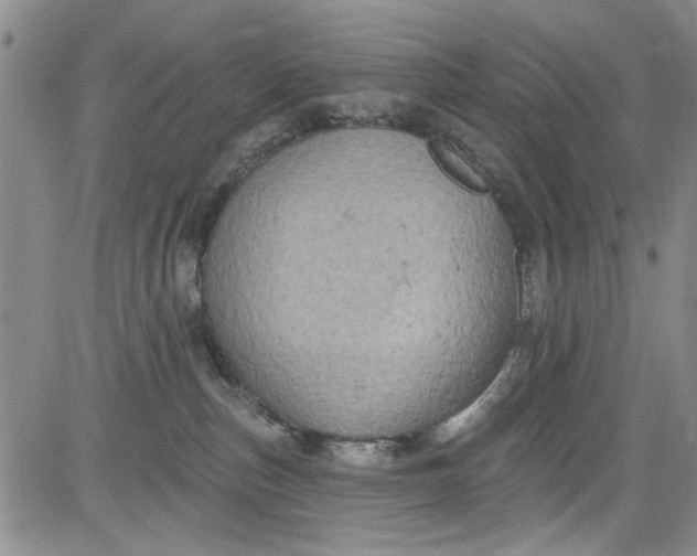 X0000084050187200703022224