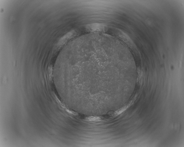 X0000084050189200703022224