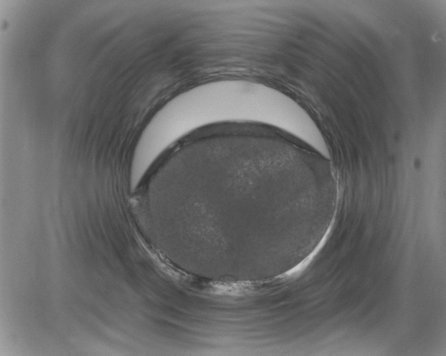 X0000084050190200703022224