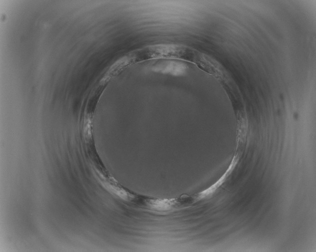 X0000084050191200703022224