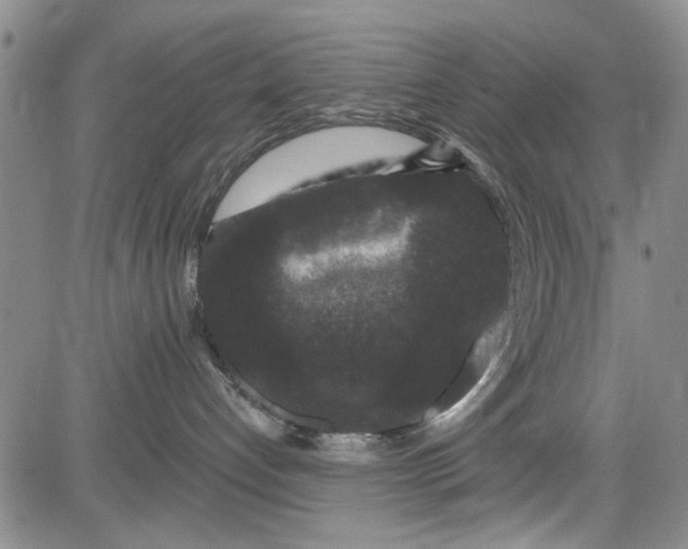 X0000084050192200703022224