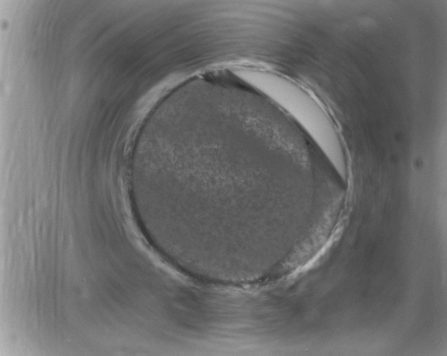 X0000084050193200703022223