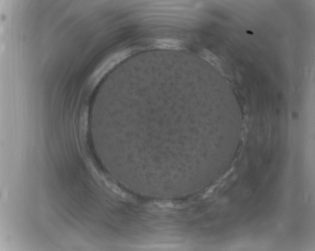 X0000084050194200703022223