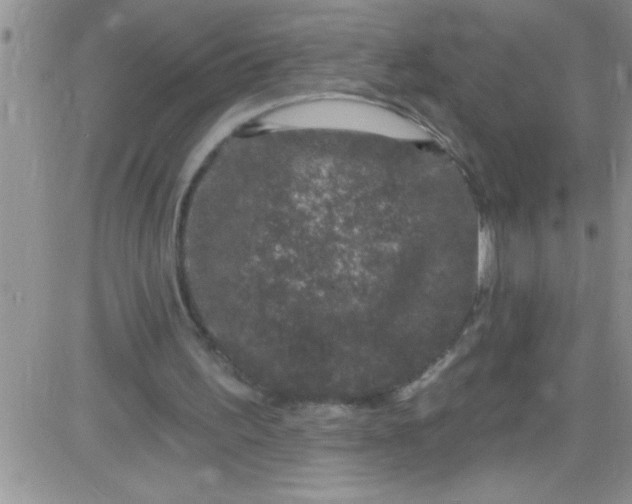 X0000084050195200703022223