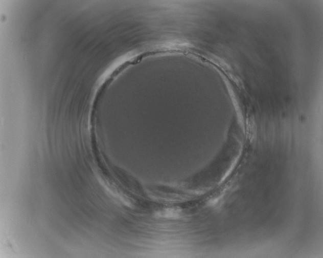 X0000084050196200703022223