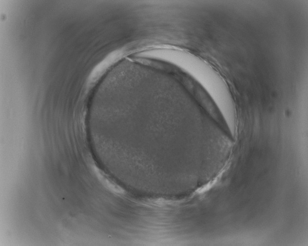 X0000084050197200703022223