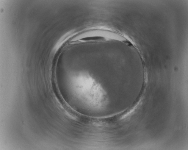 X0000084050199200703022223