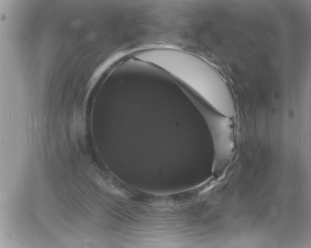 X0000084050200200703022223