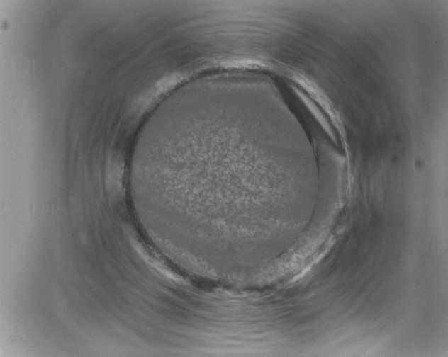 X0000084050201200703022223