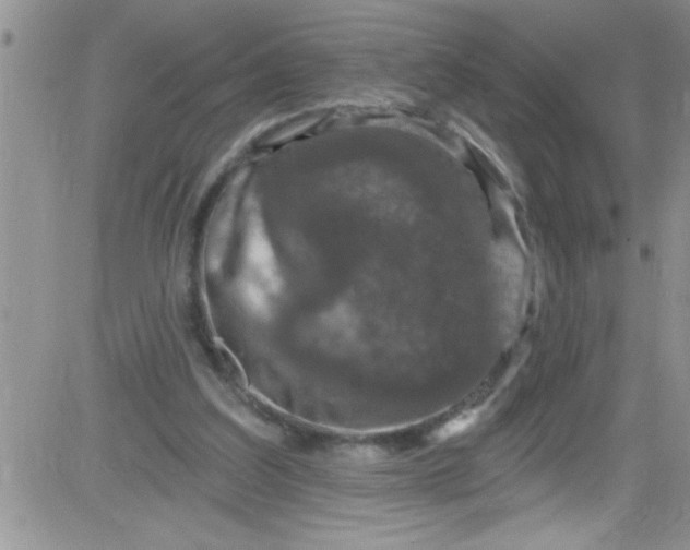 X0000084050203200703022223