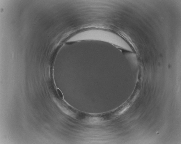 X0000084050205200703022223