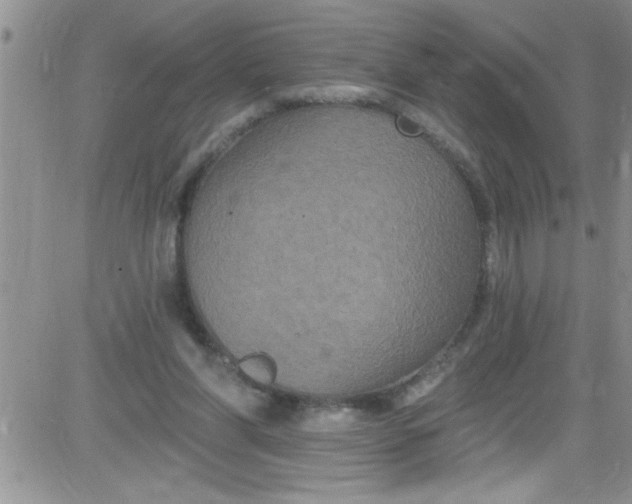 X0000084050206200703022223