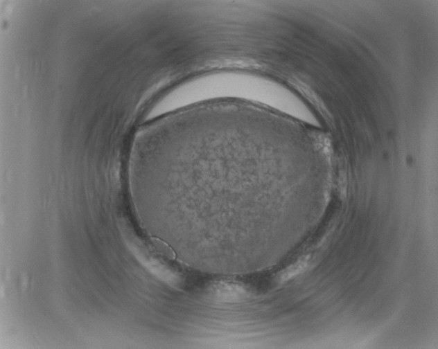 X0000084050207200703022223