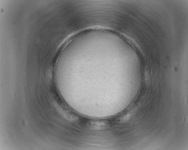 X0000084050208200703022223