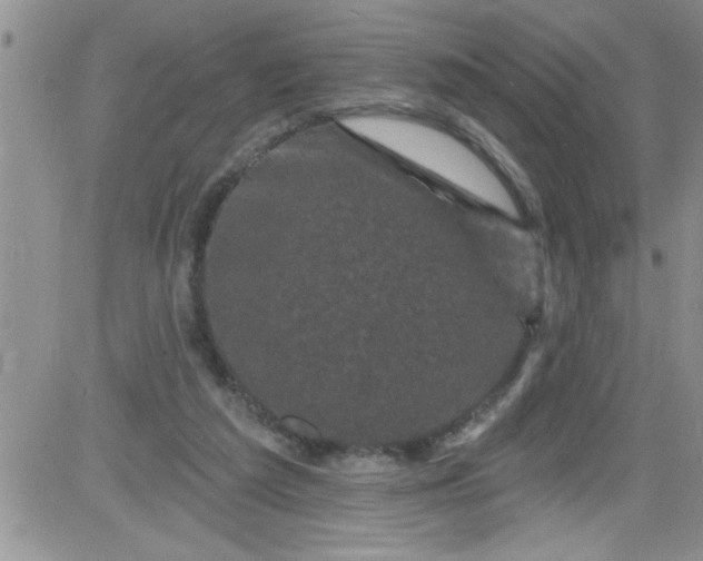 X0000084050209200703022223