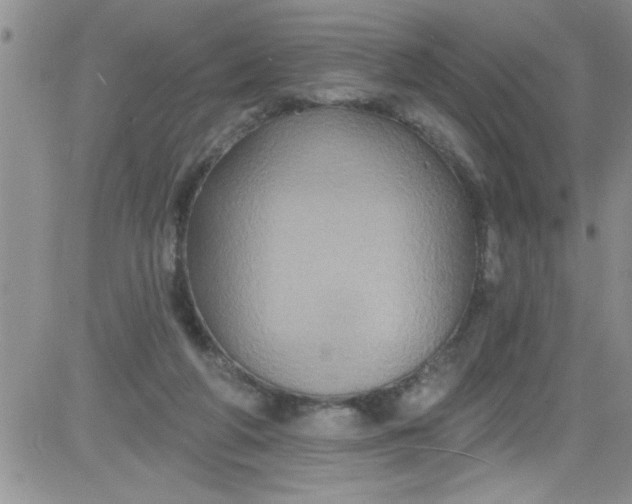 X0000084050210200703022223