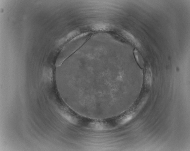 X0000084050211200703022223