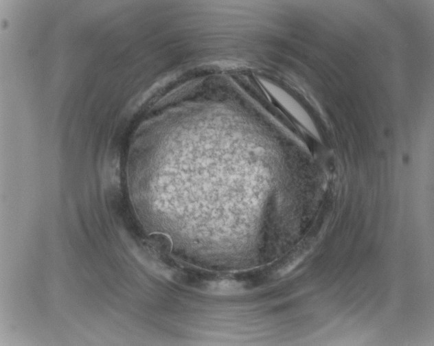 X0000084050212200703022223