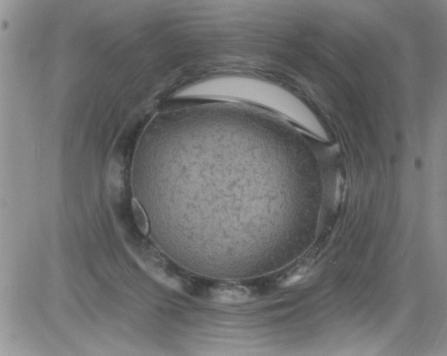 X0000084050215200703022223