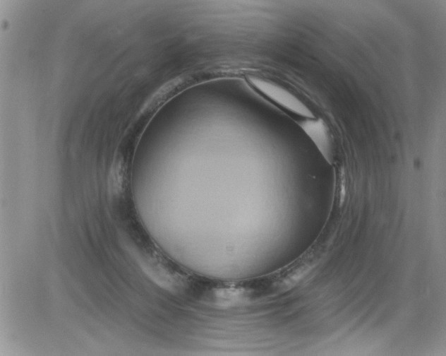 X0000084050216200703022223