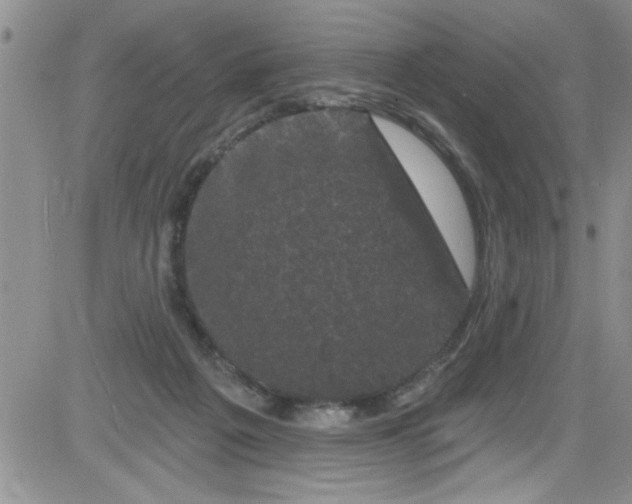 X0000084050217200703022223