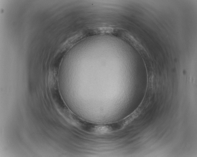 X0000084050218200703022223