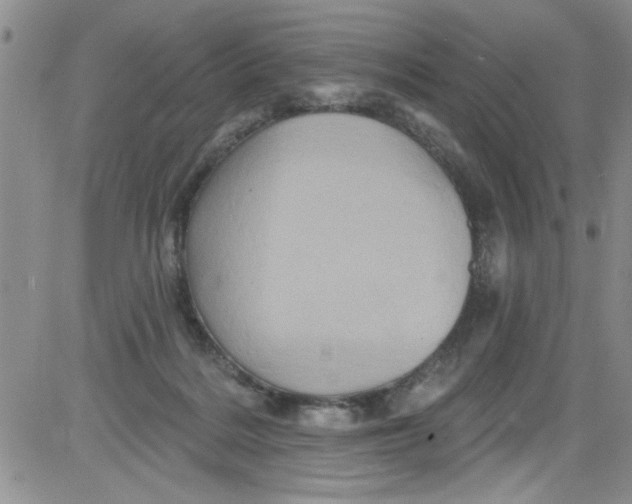 X0000084050220200703022223