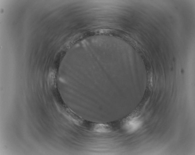 X0000084050222200703022223