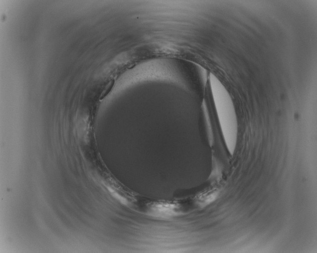 X0000084050223200703022223