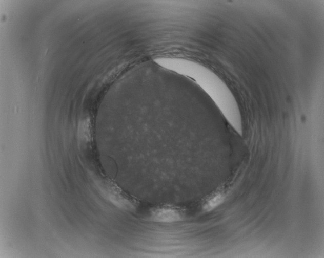 X0000084050224200703022223