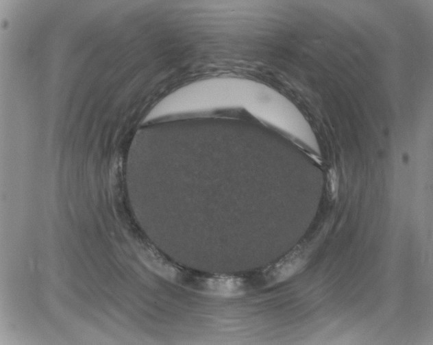 X0000084050225200703022223