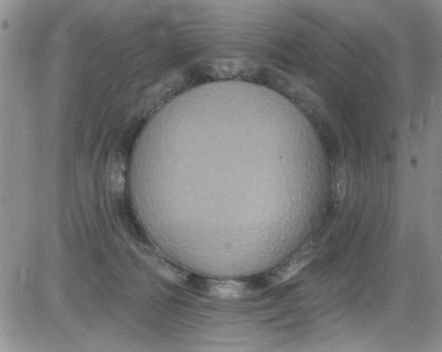 X0000084050226200703022223