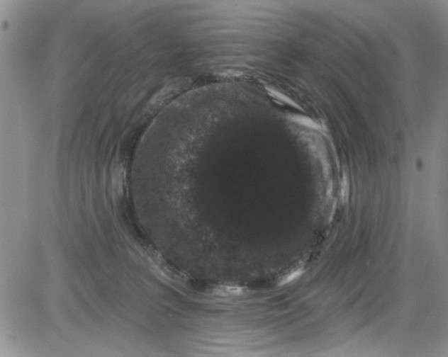 X0000084050227200703022223