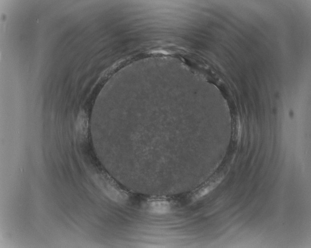 X0000084050228200703022223