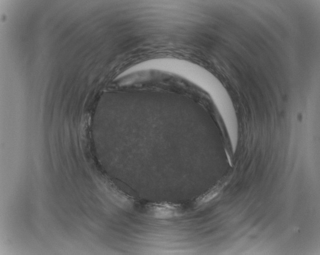 X0000084050229200703022223