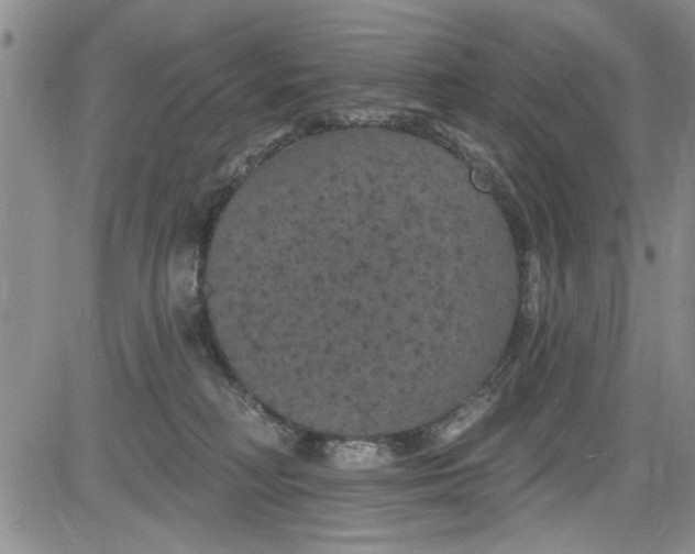 X0000084050230200703022223