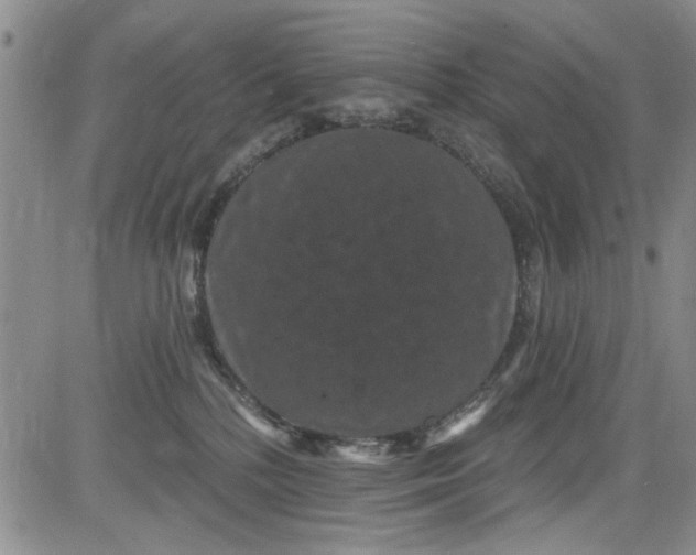 X0000084050232200703022223