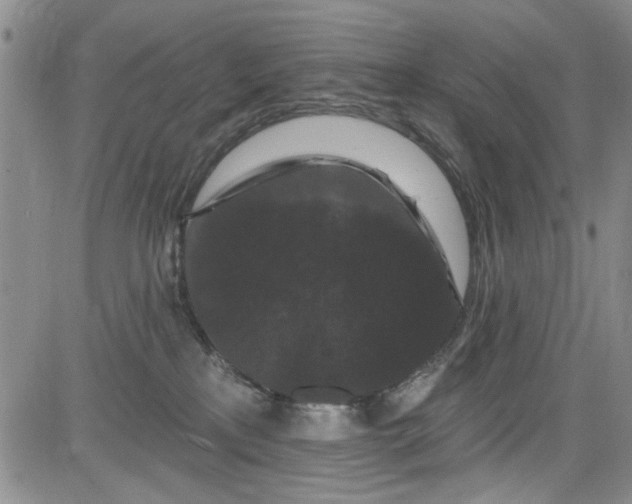 X0000084050233200703022223