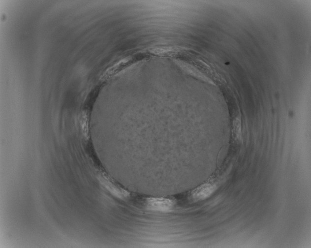 X0000084050234200703022223