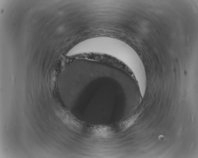 X0000084050235200703022223