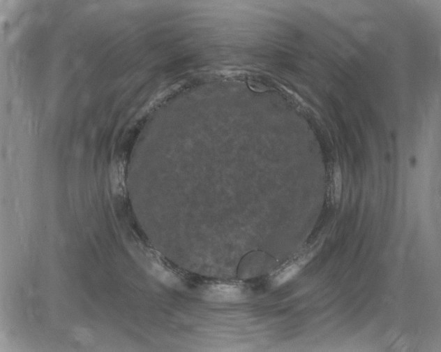 X0000084050236200703022223