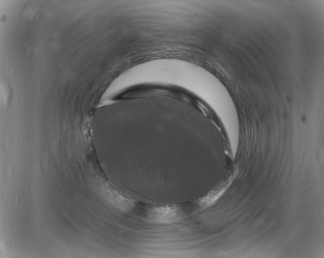 X0000084050237200703022223